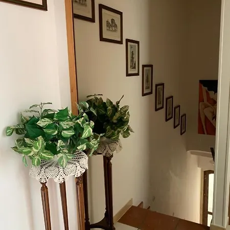 Vittoria